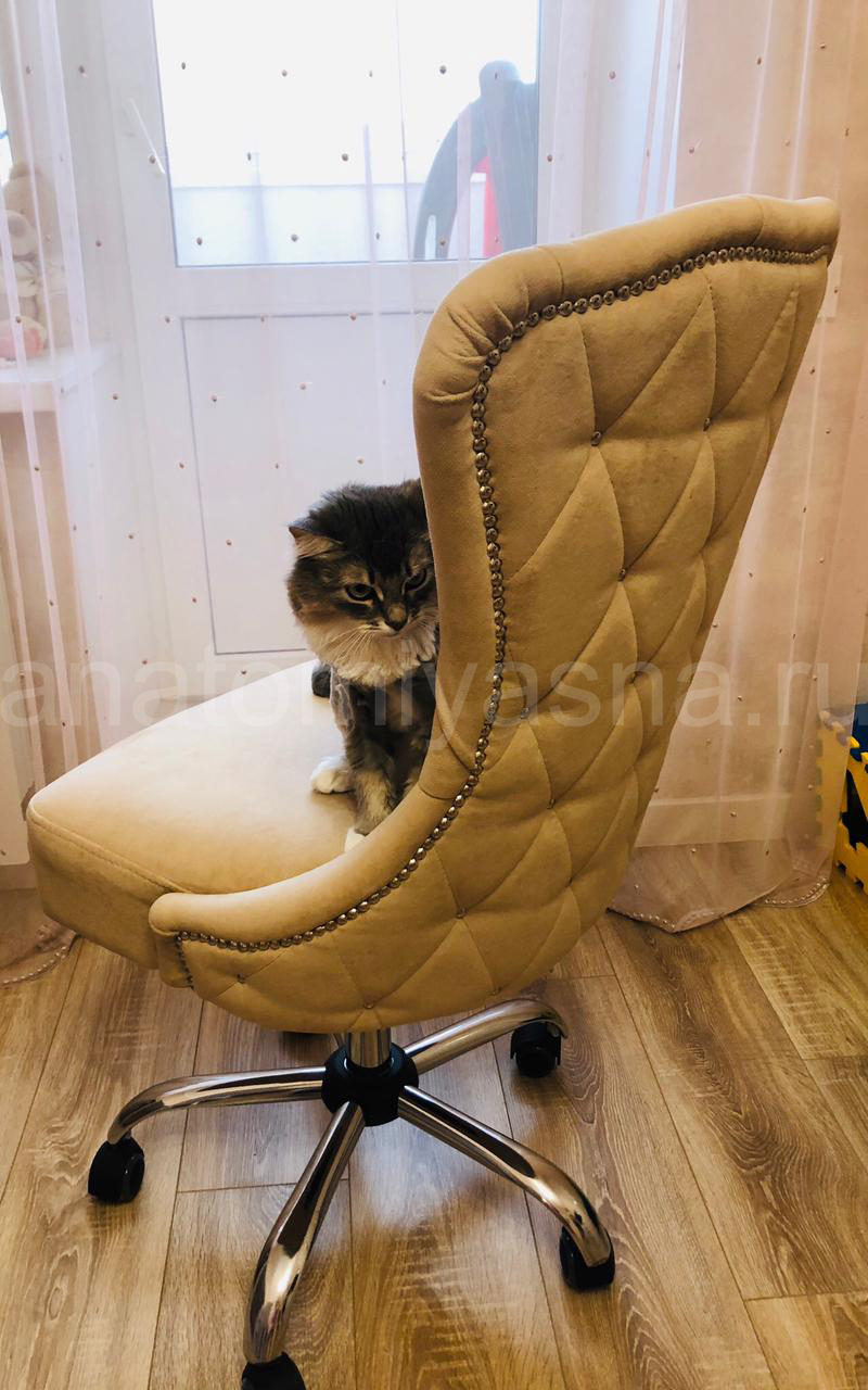 отзыв о Стул Flepers Lion Милано компьютерный фото 2